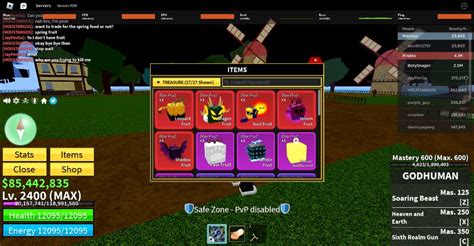 max level blox fruits account